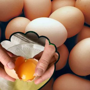 تخم مرغ خانگی